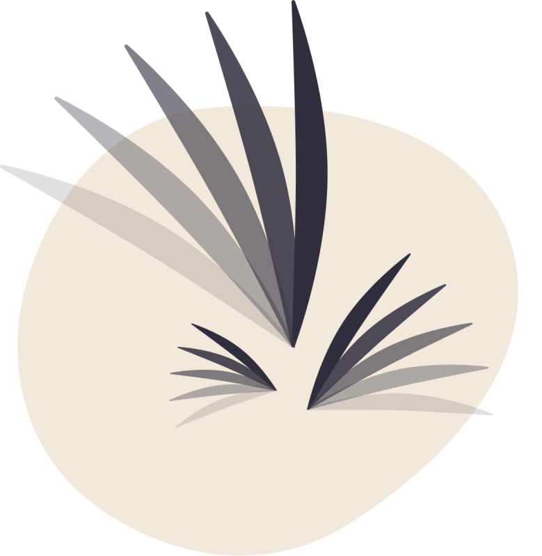 moule frite saint malo - restaurant saint malo vieille ville - restaurant saint malo intra muros - meilleur restaurant SAINT-MALO